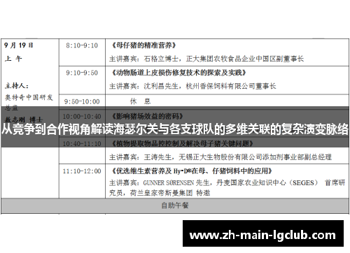 从竞争到合作视角解读海瑟尔关与各支球队的多维关联的复杂演变脉络